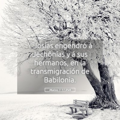 Picture 05 - Mateo 1:11 RVA - Y Josías engendró á Jechônías y á sus - Bible Verse Picture