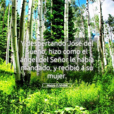 Picture 05 - Mateo 1:24 RVA - Y despertando José del sueño, hizo como el - Bible Verse Picture