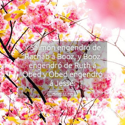 Picture 05 - Mateo 1:5 RVA - Y Salmón engendró de Rachâb á Booz, y Booz - Bible Verse Picture