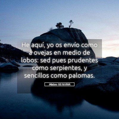 Picture 05 - Mateo 10:16 RVA - He aquí, yo os envío como á ovejas en medio de - Bible Verse Picture