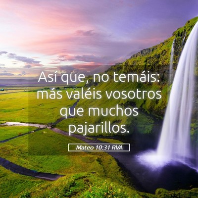 Picture 05 - Mateo 10:31 RVA - Así que, no temáis: más valéis vosotros que - Bible Verse Picture