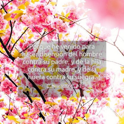 Picture 05 - Mateo 10:35 RVA - Porque he venido para hacer disensión del hombre - Bible Verse Picture