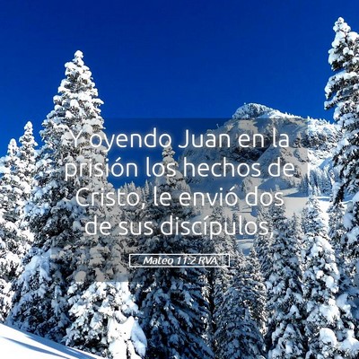Picture 05 - Mateo 11:2 RVA - Y oyendo Juan en la prisión los hechos de - Bible Verse Picture