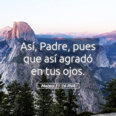 Picture 05 - Mateo 11:26 RVA - Así, Padre, pues que así agradó en tus - Bible Verse Picture