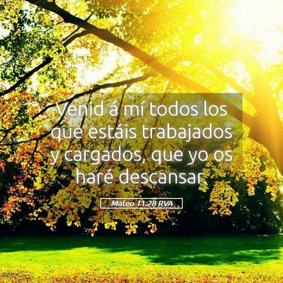 Picture 05 - Mateo 11:28 RVA - Venid á mí todos los que estáis trabajados y - Bible Verse Picture