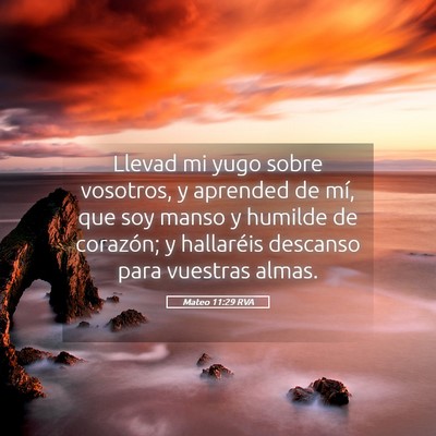 Picture 05 - Mateo 11:29 RVA - Llevad mi yugo sobre vosotros, y aprended de mí, - Bible Verse Picture