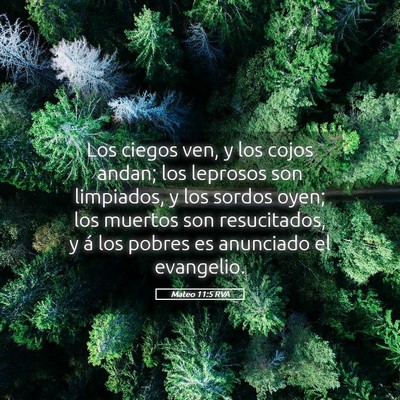 Picture 05 - Mateo 11:5 RVA - Los ciegos ven, y los cojos andan; los leprosos - Bible Verse Picture