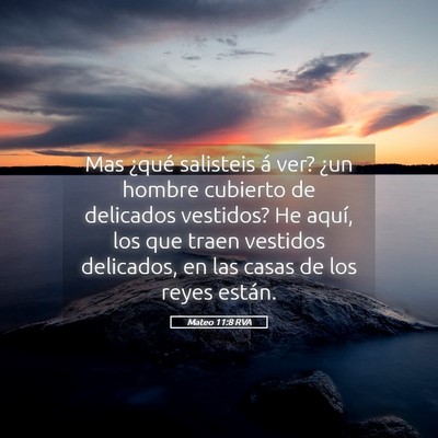 Picture 05 - Mateo 11:8 RVA - Mas ¿qué salisteis á ver? ¿un hombre cubierto - Bible Verse Picture