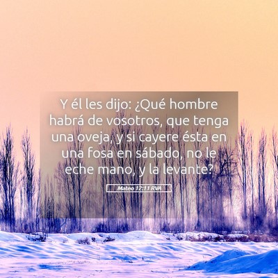 Picture 05 - Mateo 12:11 RVA - Y él les dijo: ¿Qué hombre habrá de vosotros, - Bible Verse Picture