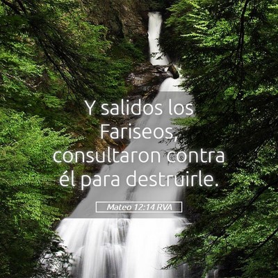 Picture 05 - Mateo 12:14 RVA - Y salidos los Fariseos, consultaron contra él - Bible Verse Picture
