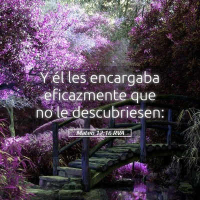 Picture 05 - Mateo 12:16 RVA - Y él les encargaba eficazmente que no le - Bible Verse Picture
