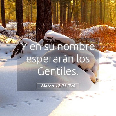 Picture 05 - Mateo 12:21 RVA - Y en su nombre esperarán los - Bible Verse Picture