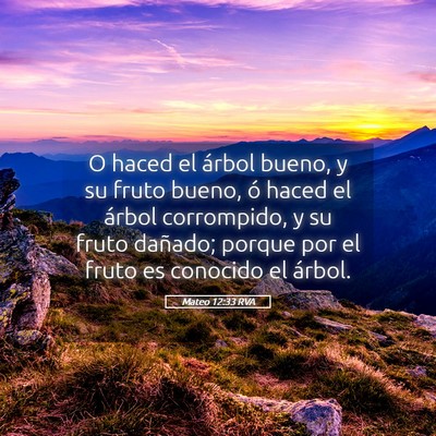 Picture 05 - Mateo 12:33 RVA - O haced el árbol bueno, y su fruto bueno, ó - Bible Verse Picture
