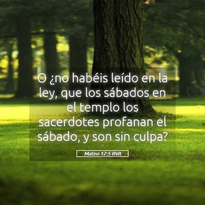 Picture 05 - Mateo 12:5 RVA - O ¿no habéis leído en la ley, que los sábados - Bible Verse Picture