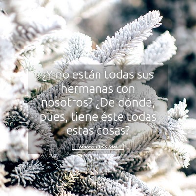 Picture 05 - Mateo 13:56 RVA - ¿Y no están todas sus hermanas con nosotros? - Bible Verse Picture