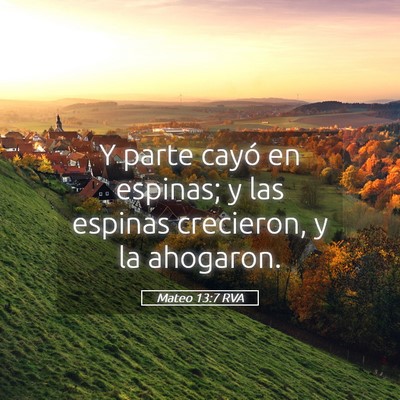 Picture 05 - Mateo 13:7 RVA - Y parte cayó en espinas; y las espinas - Bible Verse Picture