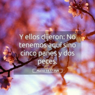 Picture 05 - Mateo 14:17 RVA - Y ellos dijeron: No tenemos aquí sino cinco - Bible Verse Picture