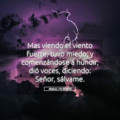 Picture 05 - Mateo 14:30 RVA - Mas viendo el viento fuerte, tuvo miedo; y - Bible Verse Picture