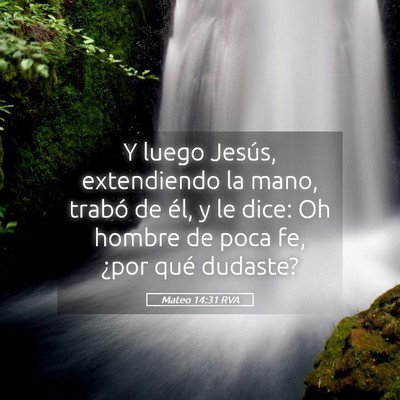 Picture 05 - Mateo 14:31 RVA - Y luego Jesús, extendiendo la mano, trabó de - Bible Verse Picture