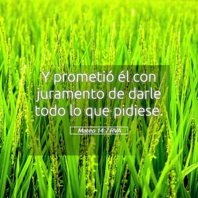 Picture 05 - Mateo 14:7 RVA - Y prometió él con juramento de darle todo lo - Bible Verse Picture