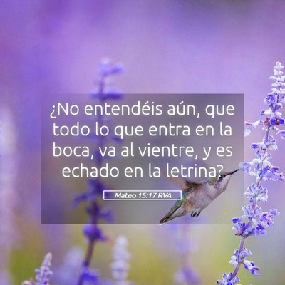 Picture 05 - Mateo 15:17 RVA - ¿No entendéis aún, que todo lo que entra en la - Bible Verse Picture