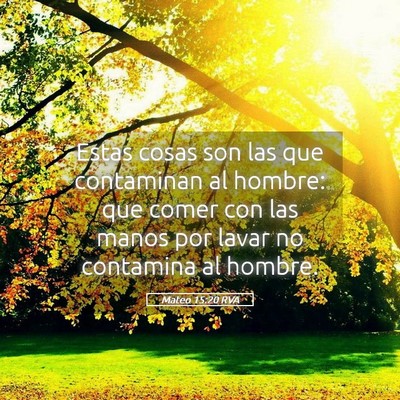 Picture 05 - Mateo 15:20 RVA - Estas cosas son las que contaminan al hombre: que - Bible Verse Picture