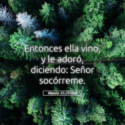 Picture 05 - Mateo 15:25 RVA - Entonces ella vino, y le adoró, diciendo: Señor - Bible Verse Picture