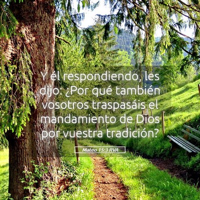 Picture 05 - Mateo 15:3 RVA - Y él respondiendo, les dijo: ¿Por qué también - Bible Verse Picture