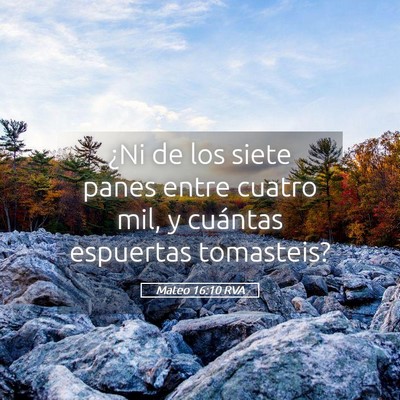 Picture 05 - Mateo 16:10 RVA - ¿Ni de los siete panes entre cuatro mil, y - Bible Verse Picture