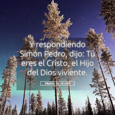 Picture 05 - Mateo 16:16 RVA - Y respondiendo Simón Pedro, dijo: Tú eres el - Bible Verse Picture