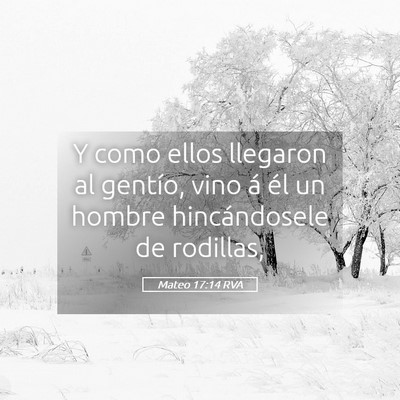 Picture 05 - Mateo 17:14 RVA - Y como ellos llegaron al gentío, vino á él un - Bible Verse Picture