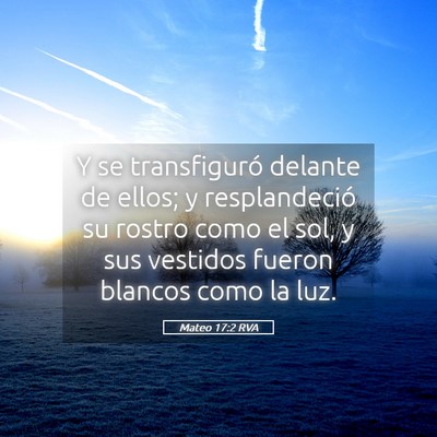 Picture 05 - Mateo 17:2 RVA - Y se transfiguró delante de ellos; y - Bible Verse Picture