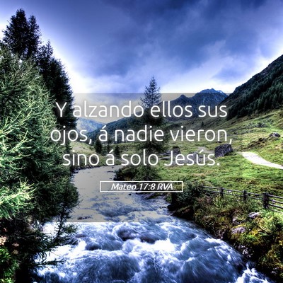 Picture 05 - Mateo 17:8 RVA - Y alzando ellos sus ojos, á nadie vieron, sino - Bible Verse Picture
