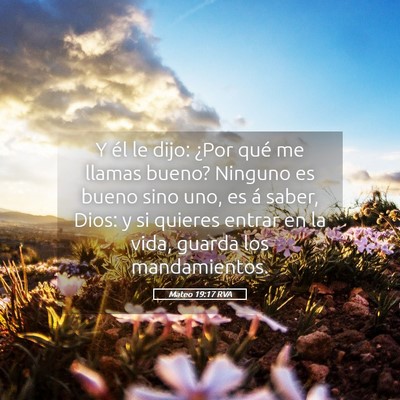 Picture 05 - Mateo 19:17 RVA - Y él le dijo: ¿Por qué me llamas bueno? - Bible Verse Picture