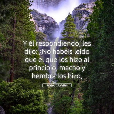Picture 05 - Mateo 19:4 RVA - Y él respondiendo, les dijo: ¿No habéis leído - Bible Verse Picture