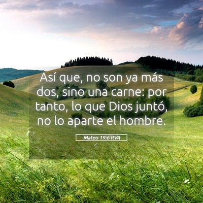 Picture 05 - Mateo 19:6 RVA - Así que, no son ya más dos, sino una carne: por - Bible Verse Picture