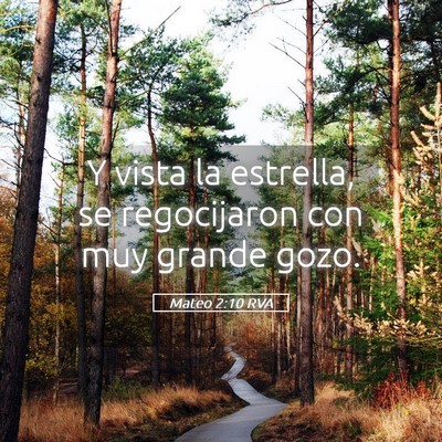 Picture 05 - Mateo 2:10 RVA - Y vista la estrella, se regocijaron con muy - Bible Verse Picture