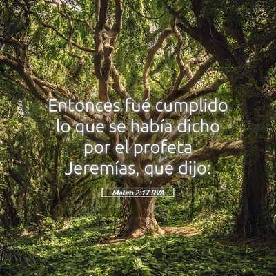 Picture 05 - Mateo 2:17 RVA - Entonces fué cumplido lo que se había dicho por - Bible Verse Picture