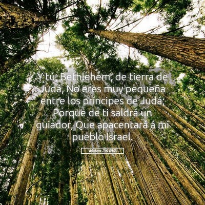 Picture 05 - Mateo 2:6 RVA - Y tú, Bethlehem, de tierra de Judá, No eres muy - Bible Verse Picture