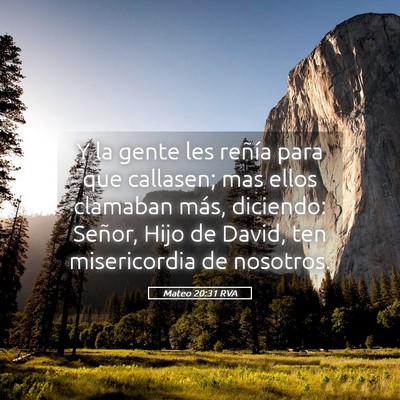 Picture 05 - Mateo 20:31 RVA - Y la gente les reñía para que callasen; mas - Bible Verse Picture