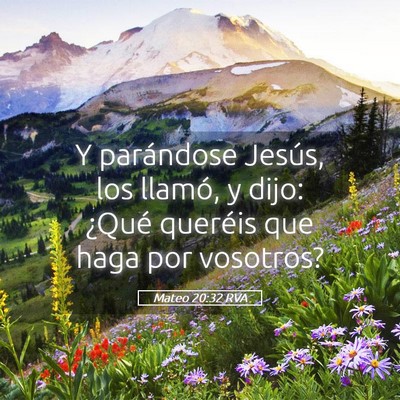 Picture 05 - Mateo 20:32 RVA - Y parándose Jesús, los llamó, y dijo: ¿Qué - Bible Verse Picture