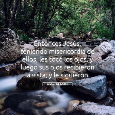 Picture 05 - Mateo 20:34 RVA - Entonces Jesús, teniendo misericordia de ellos, - Bible Verse Picture
