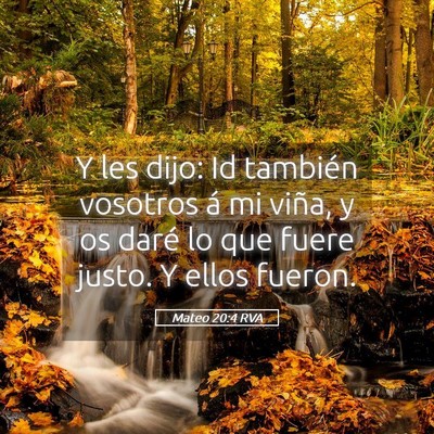 Picture 05 - Mateo 20:4 RVA - Y les dijo: Id también vosotros á mi viña, y - Bible Verse Picture
