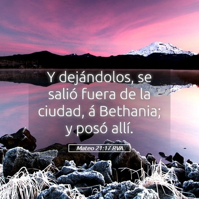 Picture 05 - Mateo 21:17 RVA - Y dejándolos, se salió fuera de la ciudad, á - Bible Verse Picture