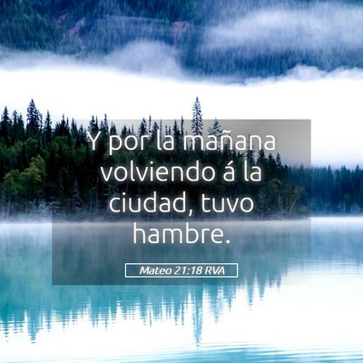Picture 05 - Mateo 21:18 RVA - Y por la mañana volviendo á la ciudad, tuvo - Bible Verse Picture