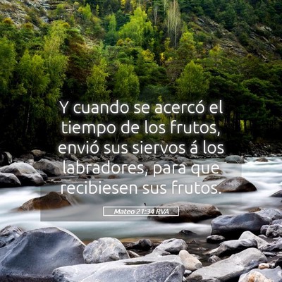 Picture 05 - Mateo 21:34 RVA - Y cuando se acercó el tiempo de los frutos, - Bible Verse Picture