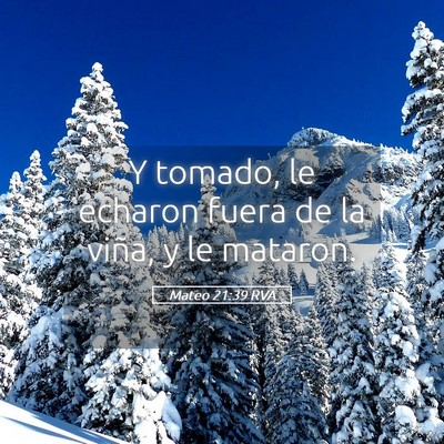 Picture 05 - Mateo 21:39 RVA - Y tomado, le echaron fuera de la viña, y le - Bible Verse Picture