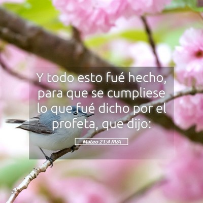 Picture 05 - Mateo 21:4 RVA - Y todo esto fué hecho, para que se cumpliese lo - Bible Verse Picture