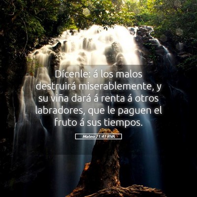 Picture 05 - Mateo 21:41 RVA - Dícenle: á los malos destruirá miserablemente, - Bible Verse Picture