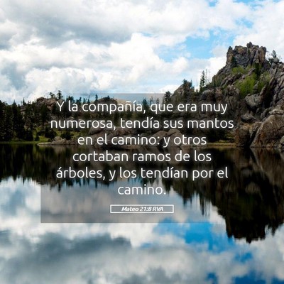 Picture 05 - Mateo 21:8 RVA - Y la compañía, que era muy numerosa, tendía - Bible Verse Picture